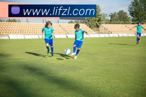 尊龙凯时APP 封面图